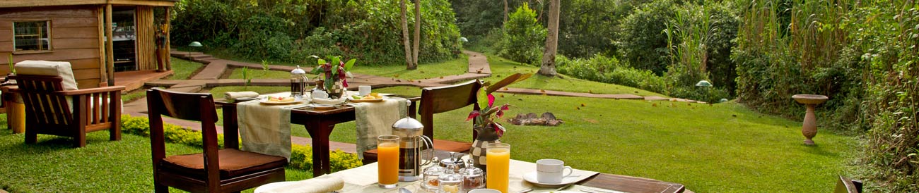 Gorilla Forest Camp